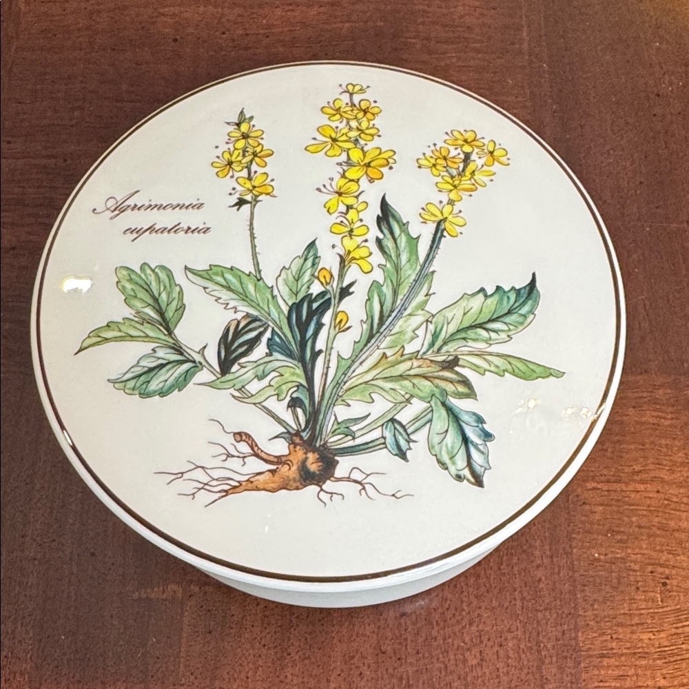 Villeroy & Boch Botanica Agrimonia Eupatoria 5" Round Covered Trinket Box